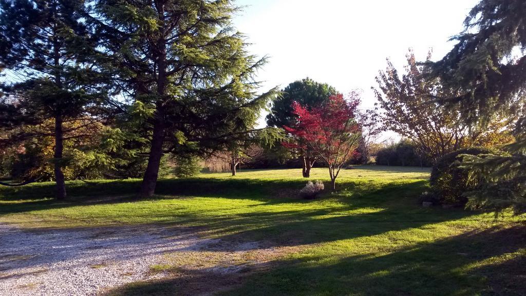 Al Campo Di Sotto Bed & Breakfast Buia Eksteriør bilde