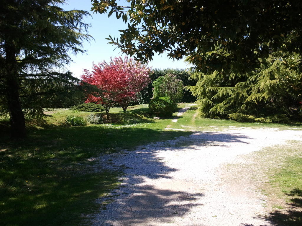 Al Campo Di Sotto Bed & Breakfast Buia Eksteriør bilde